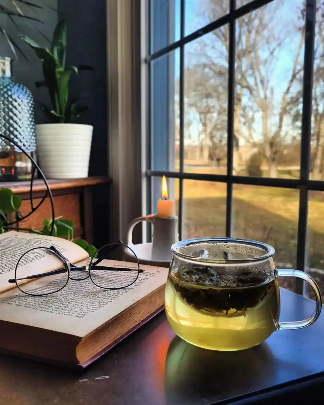 Calm-omile